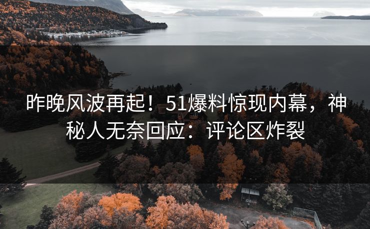 昨晚风波再起！51爆料惊现内幕，神秘人无奈回应：评论区炸裂