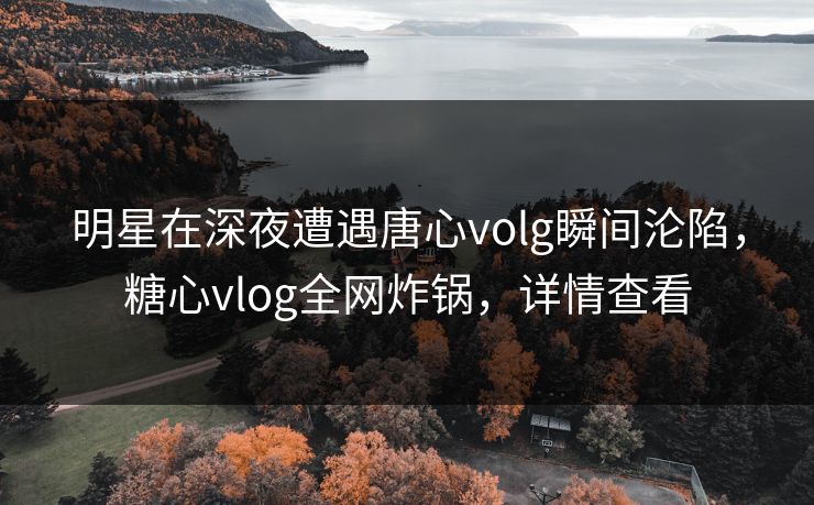 明星在深夜遭遇唐心volg瞬间沦陷,糖心vlog全网炸锅,详情查看