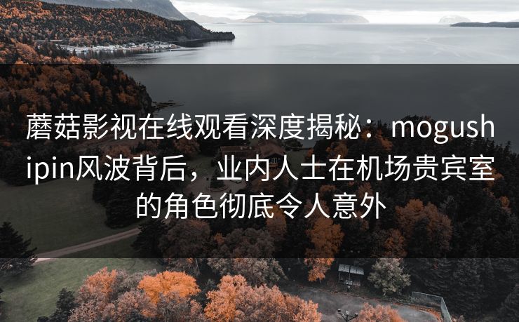 蘑菇影视在线观看深度揭秘：mogushipin风波背后，业内人士在机场贵宾室的角色彻底令人意外